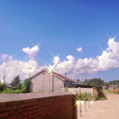 博鱼中国体育官网登录